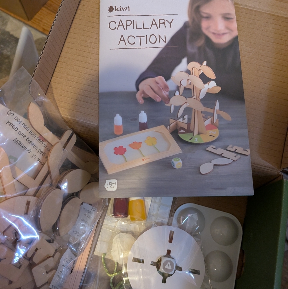 Kiwi Capillary Action Kit with Wooden and Vibrant Elements